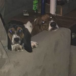 Meet your Posher, Danny-melissa